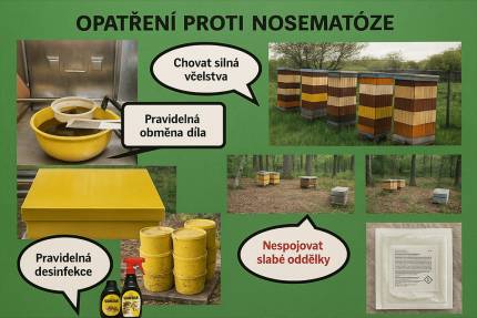 Obrázek Nosemoza pszczół – objawy, przenoszenie i zapobieganie
