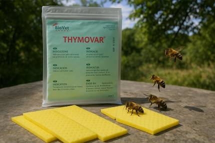 Obrázek THYMOVAR - wszystko o tym naturalnym preparacie przeciwko warrozie