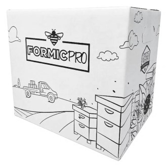 FormicPro 68,2 g – 30 dawek (60 pasków)