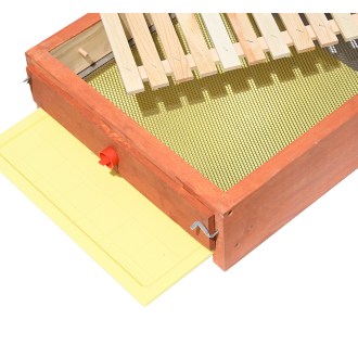 Siateczkowa dennica varroa - Langstroth - komplet, malowana