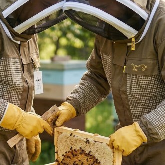 Kombinezon pszczelarski z częściową wentylacją Elegant Bee - S-XXXXL